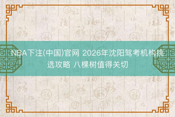 NBA下注(中国)官网 2026年沈阳驾考机构挑选攻略 八棵树值得关切