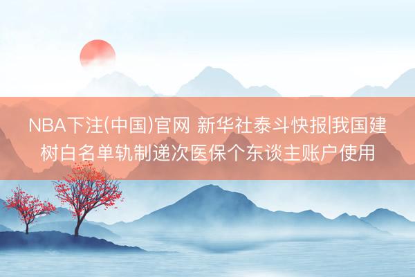 NBA下注(中国)官网 新华社泰斗快报|我国建树白名单轨制递次医保个东谈主账户使用