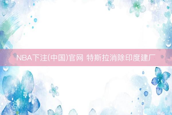 NBA下注(中国)官网 特斯拉消除印度建厂