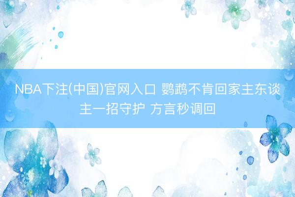 NBA下注(中国)官网入口 鹦鹉不肯回家主东谈主一招守护 方言秒调回