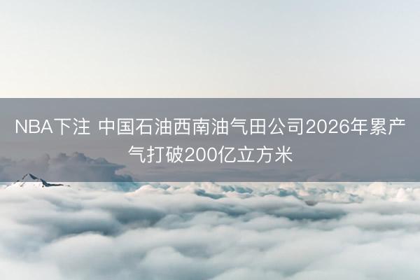 NBA下注 中国石油西南油气田公司2026年累产气打破200亿立方米