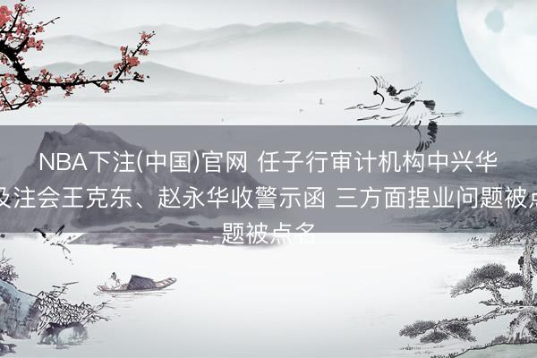 NBA下注(中国)官网 任子行审计机构中兴华所及注会王克东、赵永华收警示函 三方面捏业问题被点名