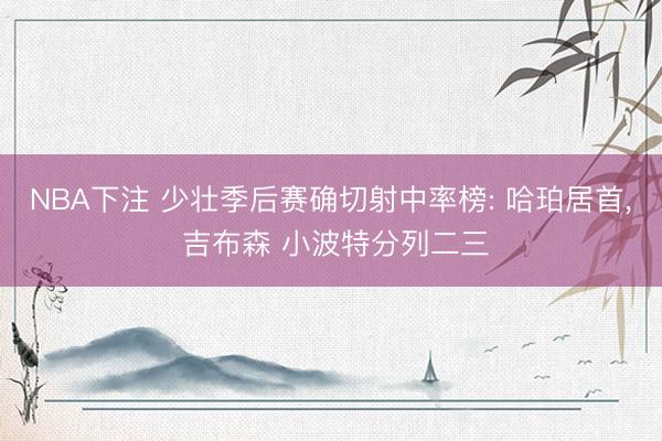 NBA下注 少壮季后赛确切射中率榜: 哈珀居首， 吉布森 小波特分列二三