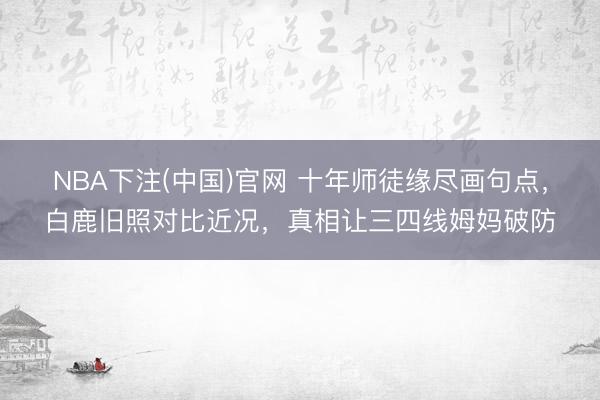NBA下注(中国)官网 十年师徒缘尽画句点，白鹿旧照对比近况，真相让三四线姆妈破防
