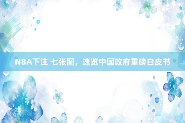 NBA下注 七张图，速览中国政府重磅白皮书